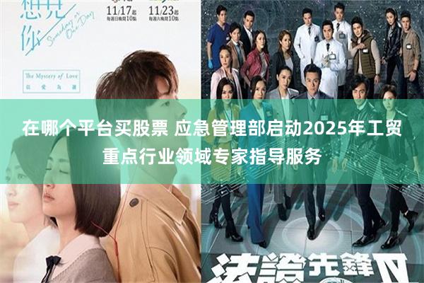 在哪个平台买股票 应急管理部启动2025年工贸重点行业领域专家指导服务