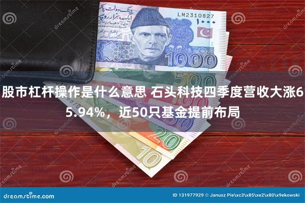 股市杠杆操作是什么意思 石头科技四季度营收大涨65.94%，近50只基金提前布局