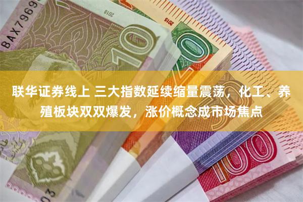 联华证券线上 三大指数延续缩量震荡，化工、养殖板块双双爆发，涨价概念成市场焦点