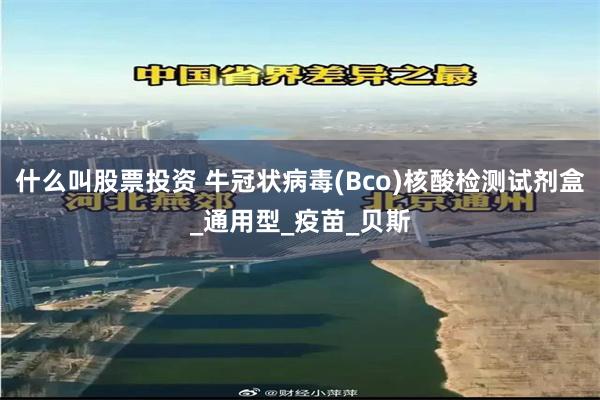 什么叫股票投资 牛冠状病毒(Bco)核酸检测试剂盒_通用型_疫苗_贝斯