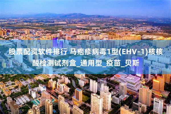 股票配资软件排行 马疱疹病毒1型(EHV-1)核核酸检测试剂盒_通用型_疫苗_贝斯
