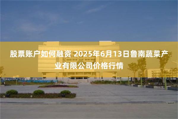 股票账户如何融资 2025年6月13日鲁南蔬菜产业有限公司价格行情